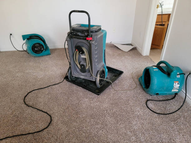 Best Flood damage cleanup  in Red Bluff, CA